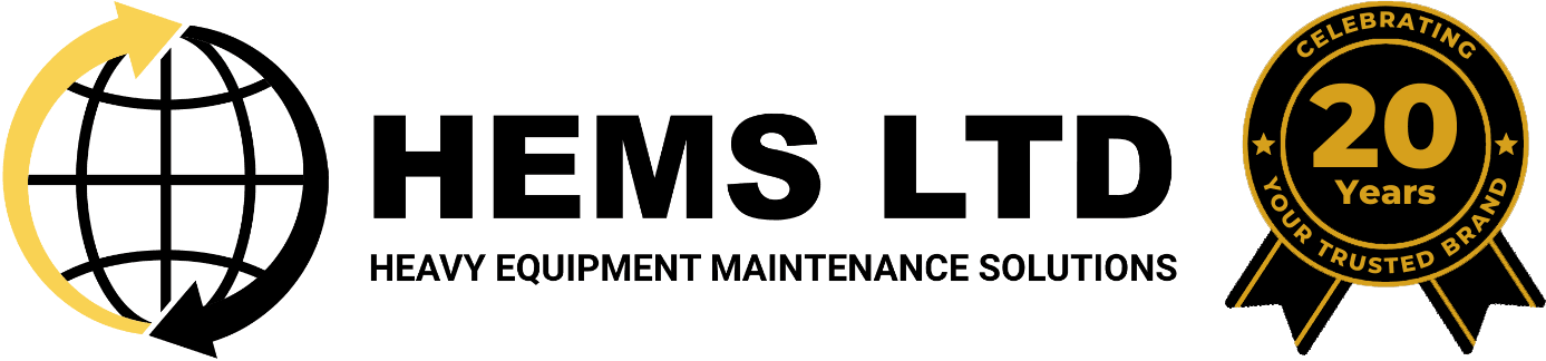 HEMS Logo in black with 20th Anniversary Badge